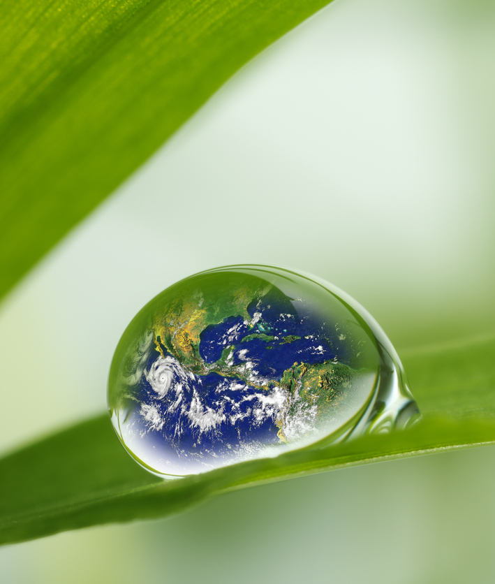 leaf with rain droplets, Recovery earth concept
